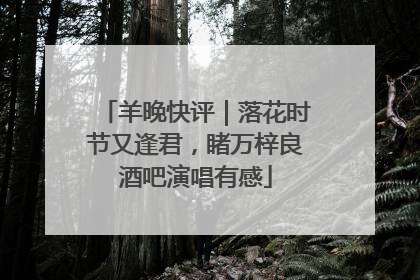 羊晚快评｜落花时节又逢君，睹万梓良酒吧演唱有感