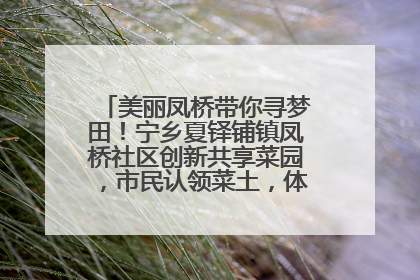 美丽凤桥带你寻梦田！宁乡夏铎铺镇凤桥社区创新共享菜园，市民认领菜土，体验耕种收获乐趣