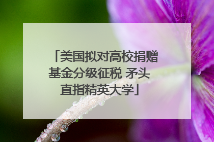 美国拟对高校捐赠基金分级征税 矛头直指精英大学