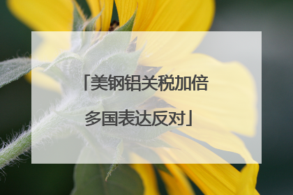 美钢铝关税加倍 多国表达反对