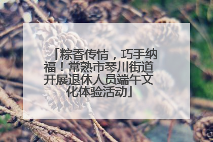 粽香传情，巧手纳福！常熟市琴川街道开展退休人员端午文化体验活动