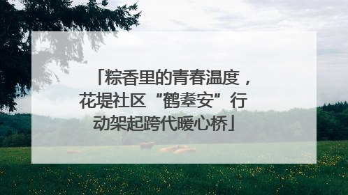 粽香里的青春温度，花堤社区“鹤耋安”行动架起跨代暖心桥