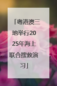 粤港澳三地举行2025年海上联合搜救演习
