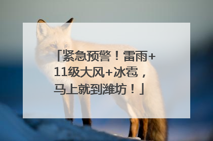 紧急预警！雷雨+11级大风+冰雹，马上就到潍坊！