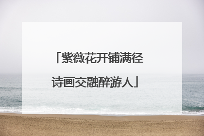 紫薇花开铺满径 诗画交融醉游人