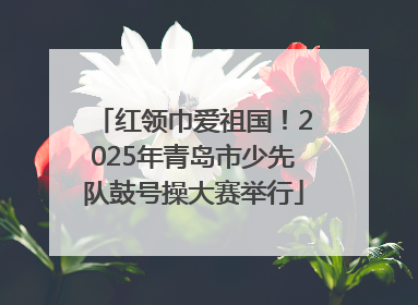 红领巾爱祖国！2025年青岛市少先队鼓号操大赛举行