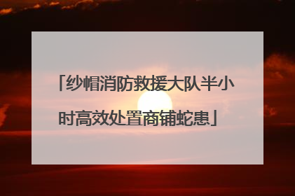 纱帽消防救援大队半小时高效处置商铺蛇患