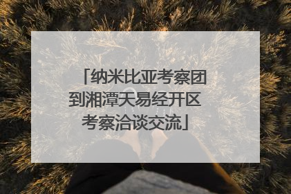 纳米比亚考察团到湘潭天易经开区考察洽谈交流