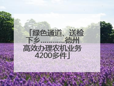 绿色通道、送检下乡…………德州高效办理农机业务4200多件