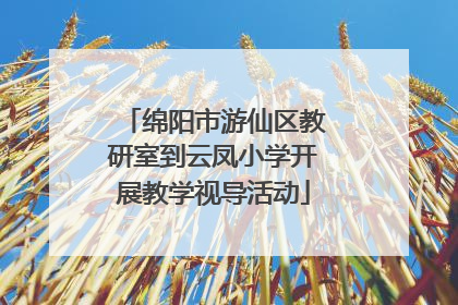 绵阳市游仙区教研室到云凤小学开展教学视导活动