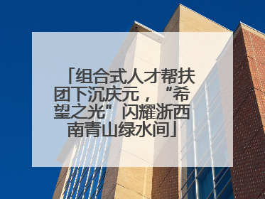 组合式人才帮扶团下沉庆元，“希望之光”闪耀浙西南青山绿水间