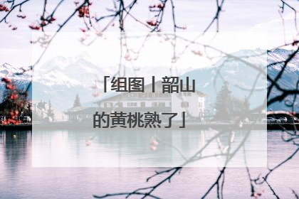 组图丨韶山的黄桃熟了