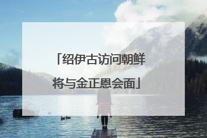 绍伊古访问朝鲜 将与金正恩会面