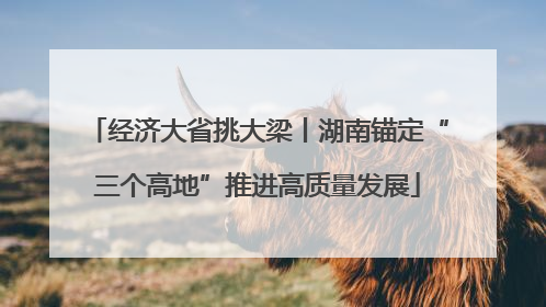 经济大省挑大梁丨湖南锚定“三个高地”推进高质量发展