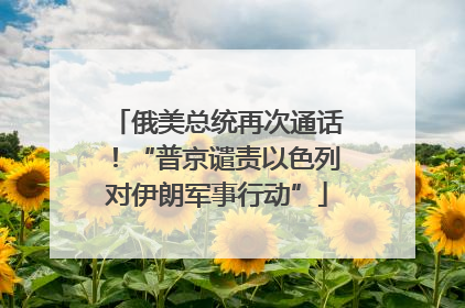 俄美总统再次通话！“普京谴责以色列对伊朗军事行动”