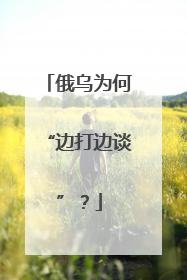 俄乌为何“边打边谈”？