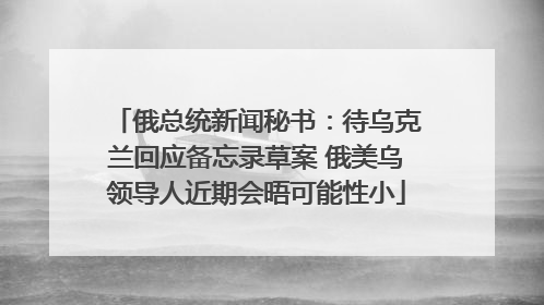 俄总统新闻秘书：待乌克兰回应备忘录草案 俄美乌领导人近期会晤可能性小