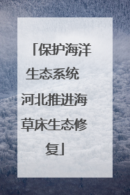保护海洋生态系统 河北推进海草床生态修复