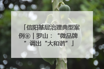 信阳基层治理典型案例⑧｜罗山：“微品牌”调出“大和谐”