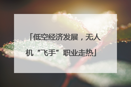 低空经济发展，无人机“飞手”职业走热