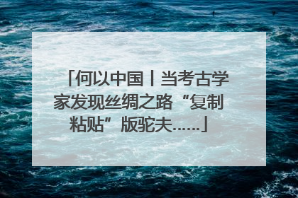 何以中国丨当考古学家发现丝绸之路“复制粘贴”版驼夫……