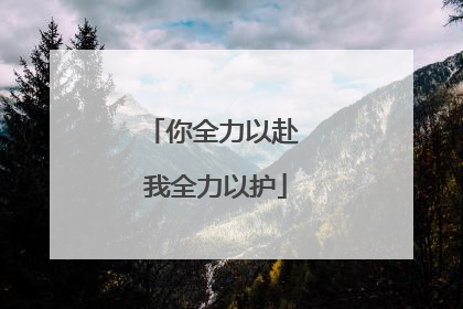 你全力以赴 我全力以护