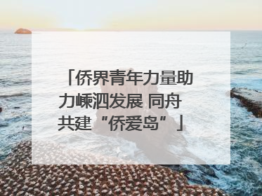 侨界青年力量助力嵊泗发展 同舟共建“侨爱岛”