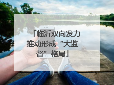 临沂双向发力推动形成“大监督”格局