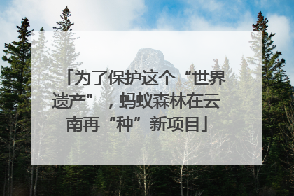 为了保护这个“世界遗产”，蚂蚁森林在云南再“种”新项目