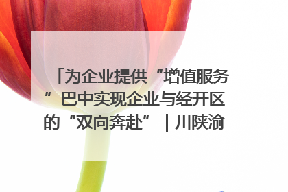 为企业提供“增值服务”巴中实现企业与经开区的“双向奔赴”｜川陕渝网络名人巴中行