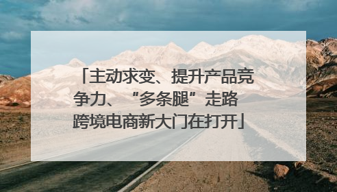 主动求变、提升产品竞争力、“多条腿”走路 跨境电商新大门在打开