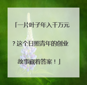 一片叶子年入千万元？这个日照青年的创业故事藏着答案！