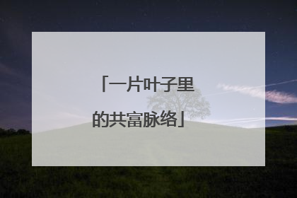 一片叶子里的共富脉络