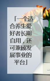 一个适合养生爱好者长期自用，还可兼顾发展事业的平台