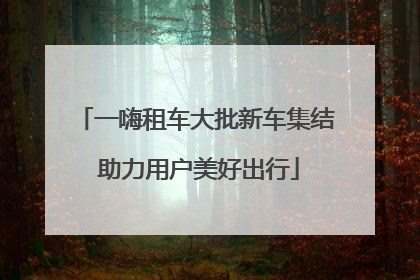 一嗨租车大批新车集结 助力用户美好出行