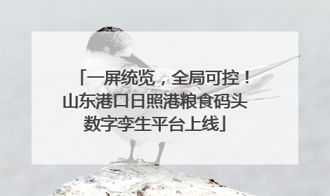 一屏统览，全局可控！山东港口日照港粮食码头数字孪生平台上线