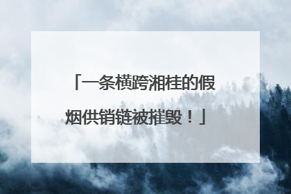 一条横跨湘桂的假烟供销链被摧毁！