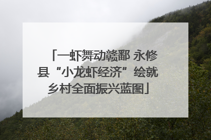 一虾舞动赣鄱 永修县“小龙虾经济”绘就乡村全面振兴蓝图