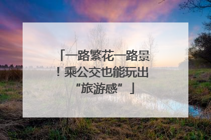 一路繁花一路景！乘公交也能玩出“旅游感”