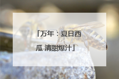 万年：夏日西瓜 清甜爆汁