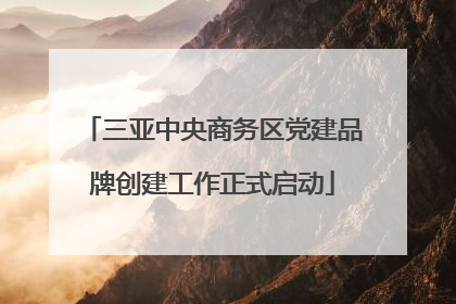 三亚中央商务区党建品牌创建工作正式启动