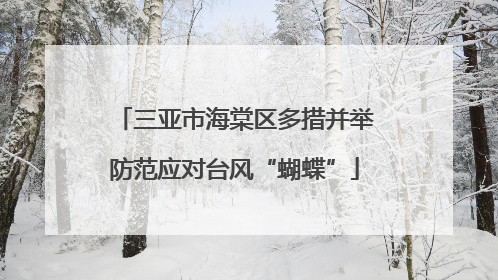 三亚市海棠区多措并举防范应对台风“蝴蝶”