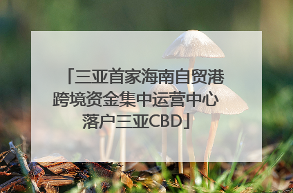 三亚首家海南自贸港跨境资金集中运营中心落户三亚CBD