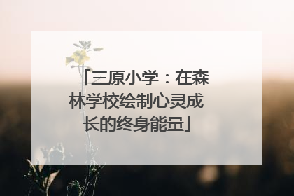 三原小学：在森林学校绘制心灵成长的终身能量