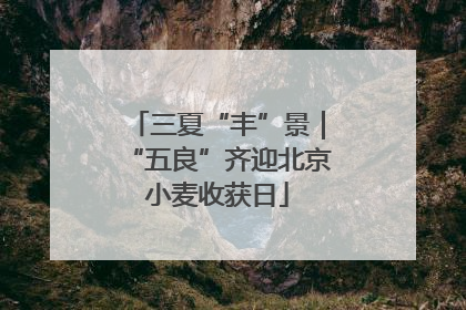 三夏“丰”景｜“五良”齐迎北京小麦收获日