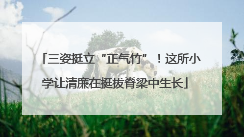 三姿挺立“正气竹”！这所小学让清廉在挺拔脊梁中生长
