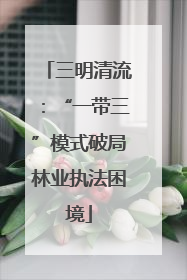 三明清流：“一带三”模式破局林业执法困境