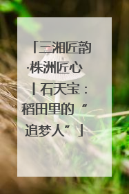 三湘匠韵·株洲匠心丨石天宝：稻田里的“追梦人”