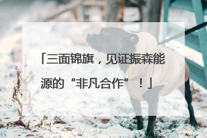 三面锦旗，见证振森能源的“非凡合作”！