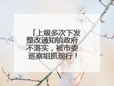 上级多次下发整改通知镇政府不落实，被市委巡察组抓现行！吉林一副镇长受党内警告处分